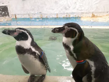 天王寺動物園に投稿された画像（2022/9/23）