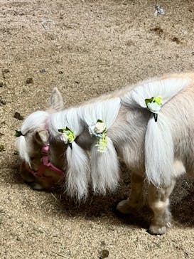 ノーザンホースパークに投稿された画像（2022/9/23）