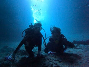 武藤潜水に投稿された画像（2022/9/23）