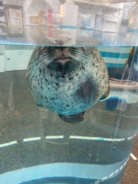 京都鉄道博物館×京都水族館に投稿された画像（2022/9/23）