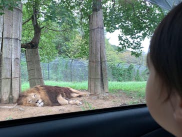 姫路セントラルパークに投稿された画像（2022/9/23）