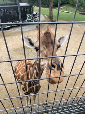 姫路セントラルパークに投稿された画像（2022/9/23）