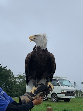 那須どうぶつ王国に投稿された画像（2022/9/23）