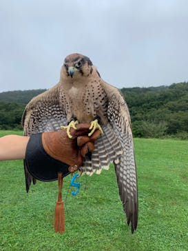 那須どうぶつ王国に投稿された画像（2022/9/23）