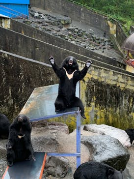 奥飛騨クマ牧場に投稿された画像（2022/9/23）