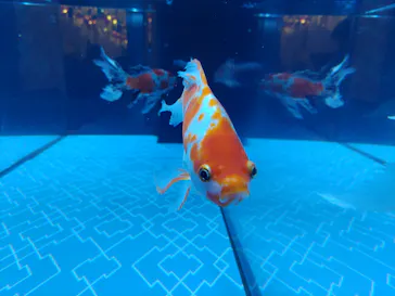 すみだ水族館に投稿された画像（2022/9/23）
