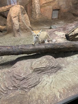 那須どうぶつ王国に投稿された画像（2022/9/23）