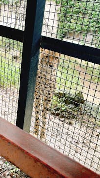 群馬サファリパークに投稿された画像（2022/9/23）