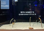 横浜開運水族館 フォーチュンアクアリウムに投稿された画像（2022/9/23）