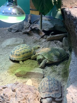 サンシャイン水族館に投稿された画像（2022/9/23）