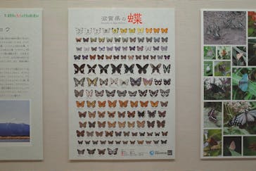 滋賀県立琵琶湖博物館に投稿された画像（2022/9/23）