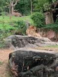 天王寺動物園に投稿された画像（2022/9/23）