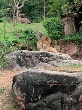 天王寺動物園に投稿された画像（2022/9/23）