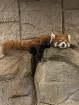 天王寺動物園に投稿された画像（2022/9/23）