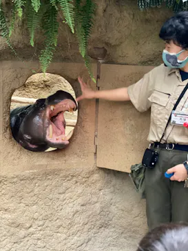 神戸どうぶつ王国に投稿された画像（2022/9/23）