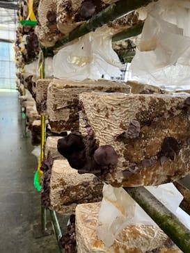 永島農園に投稿された画像（2022/9/23）