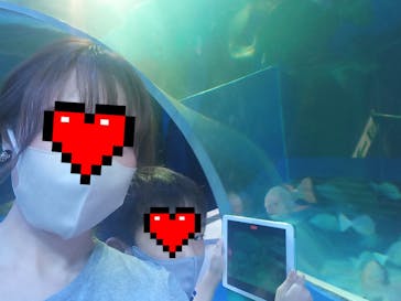 しながわ水族館に投稿された画像（2022/9/23）