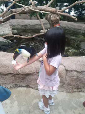 神戸どうぶつ王国に投稿された画像（2022/9/23）