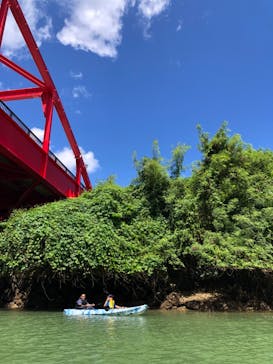 沖縄海うさぎ・海あしびに投稿された画像（2022/9/23）