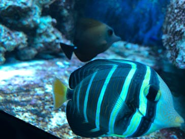 サンシャイン水族館に投稿された画像（2022/9/23）