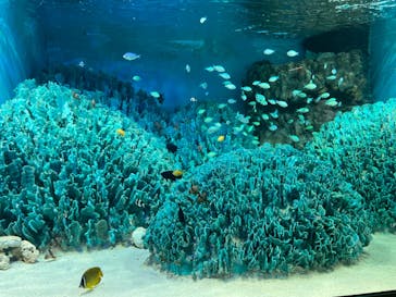 サンシャイン水族館に投稿された画像（2022/9/23）