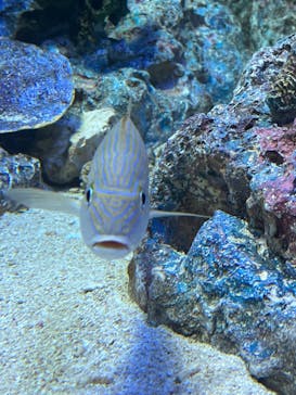 サンシャイン水族館に投稿された画像（2022/9/23）