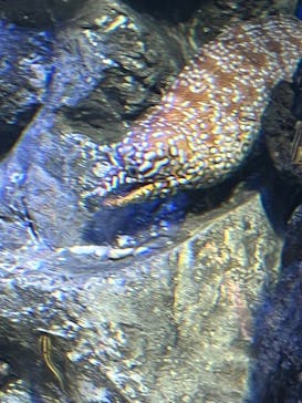 サンシャイン水族館に投稿された画像（2022/9/23）