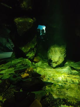 滋賀県立琵琶湖博物館に投稿された画像（2022/9/23）