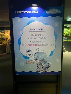サンシャイン水族館に投稿された画像（2022/9/23）