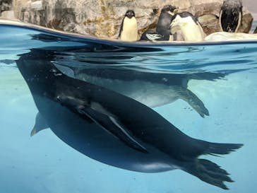 名古屋港水族館に投稿された画像（2022/9/23）