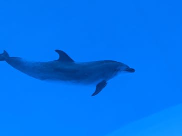 名古屋港水族館に投稿された画像（2022/9/23）