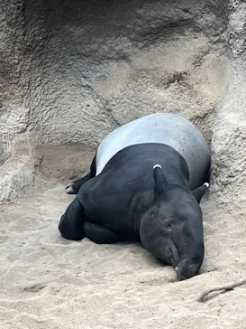 神戸どうぶつ王国に投稿された画像（2022/9/23）