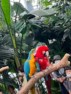 神戸どうぶつ王国に投稿された画像（2022/9/23）