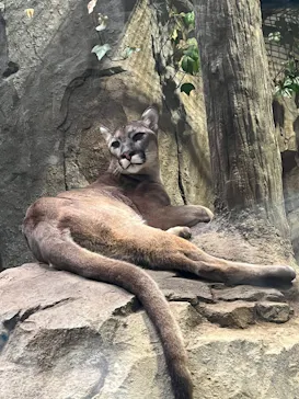 神戸どうぶつ王国に投稿された画像（2022/9/23）