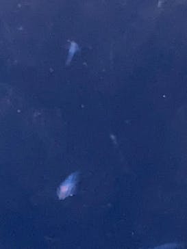 サンシャイン水族館に投稿された画像（2022/9/23）