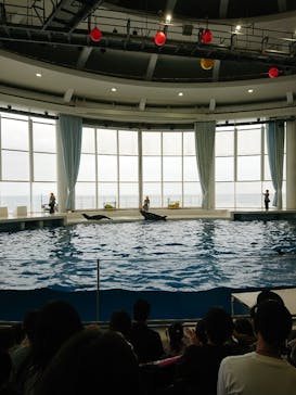 アクアワールド茨城県大洗水族館に投稿された画像（2022/9/23）