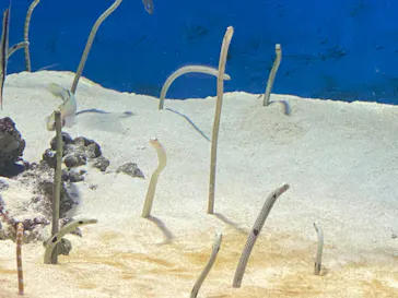 仙台うみの杜水族館に投稿された画像（2022/9/23）