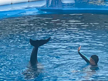 仙台うみの杜水族館に投稿された画像（2022/9/23）
