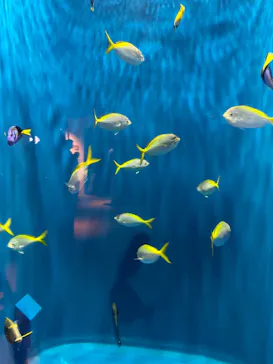 仙台うみの杜水族館に投稿された画像（2022/9/23）