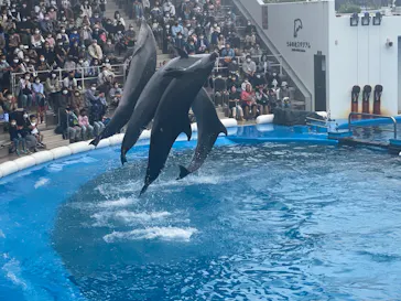 仙台うみの杜水族館に投稿された画像（2022/9/23）