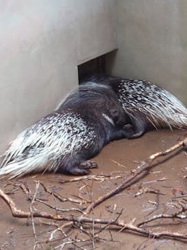 長崎バイオパークに投稿された画像（2022/9/23）