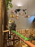 Moff animal cafe イオンモール幕張新都心店に投稿された画像（2022/9/23）