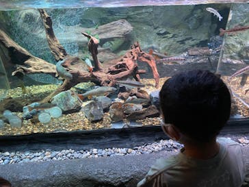 カワスイ 川崎⽔族館に投稿された画像（2022/9/23）