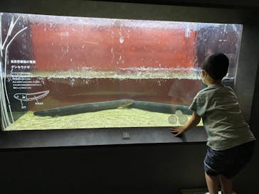 カワスイ 川崎⽔族館に投稿された画像（2022/9/23）