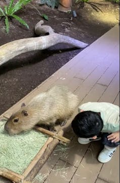 カワスイ 川崎⽔族館に投稿された画像（2022/9/23）