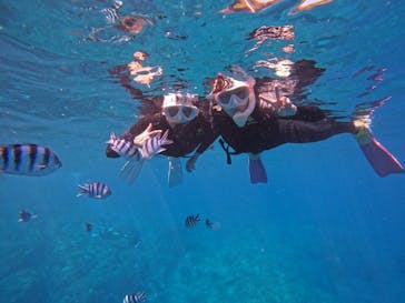 DIVING-SHOP SUNSに投稿された画像（2022/9/23）