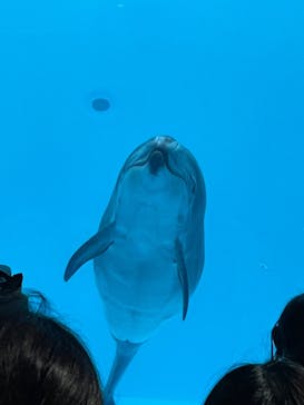 名古屋港水族館に投稿された画像（2022/9/23）