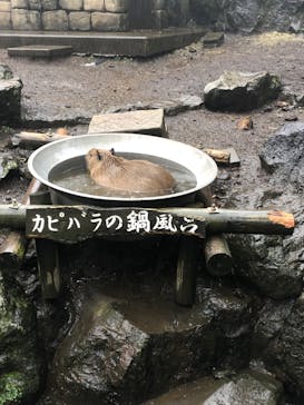 伊豆シャボテン動物公園に投稿された画像（2022/9/23）