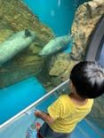 しながわ水族館に投稿された画像（2022/9/24）