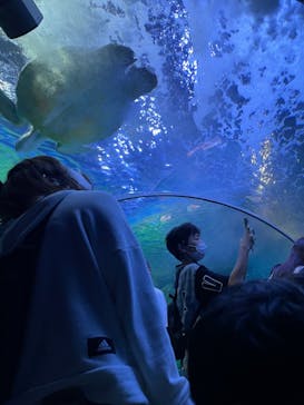 しながわ水族館に投稿された画像（2022/9/23）